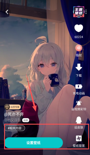 壁纸主题app(改名主题商店)_https://www.wordpress6.com_手机美化_第1张