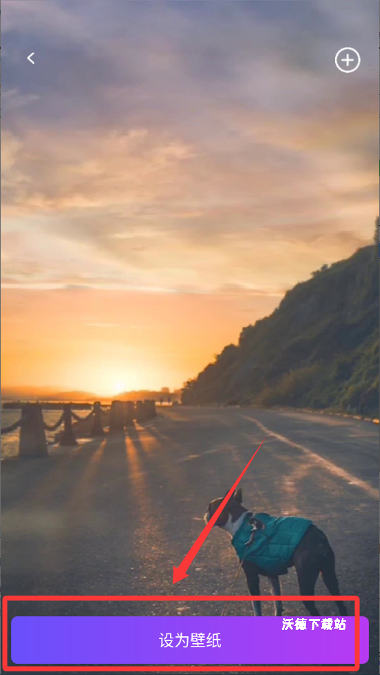 主题壁纸美化大全app_https://www.wordpress6.com_手机美化_第3张