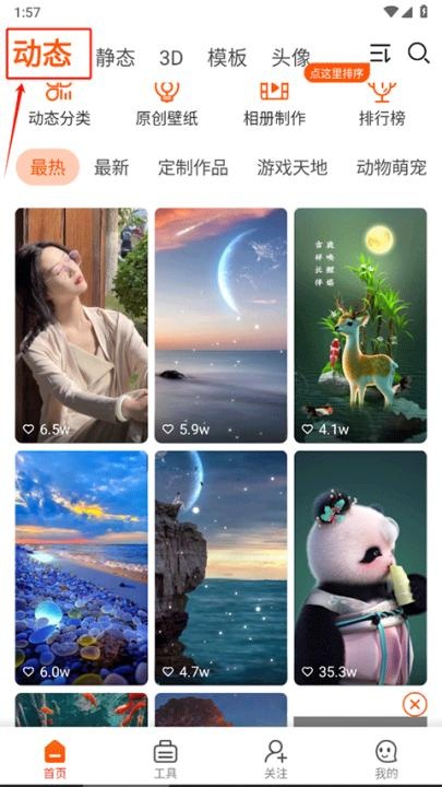 壁纸精灵_https://www.wordpress6.com_手机美化_第1张