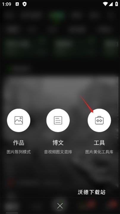 POCO相机_https://www.wordpress6.com_摄影图像_第3张