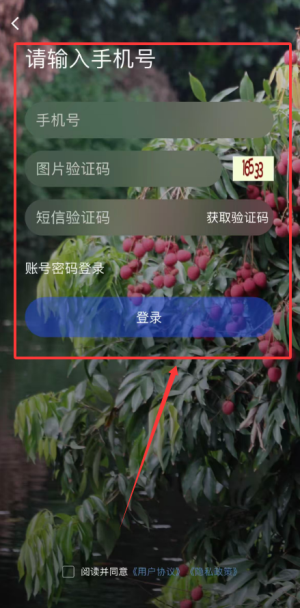 莆鱼网app_https://www.wordpress6.com_生活实用_第2张