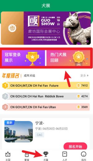 宠爱王国_https://www.wordpress6.com_生活实用_第2张