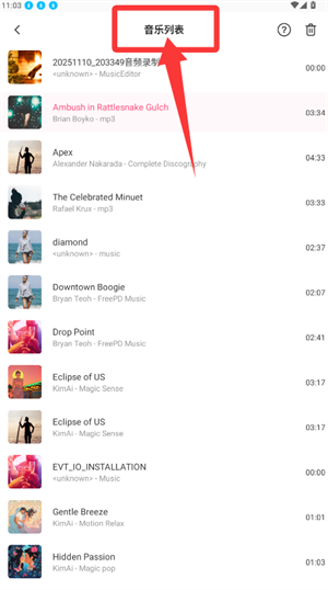 魅动音乐app_https://www.wordpress6.com_音乐软件_第2张