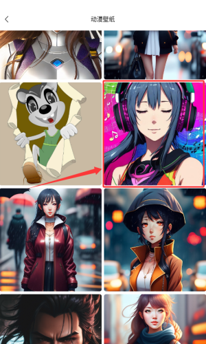 彩虹喵_https://www.wordpress6.com_生活实用_第3张