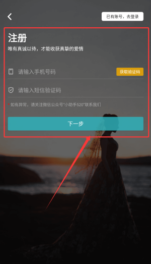 一伴婚恋专业版_https://www.wordpress6.com_生活实用_第2张