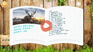 认识动物_https://www.wordpress6.com_学习教育_第3张