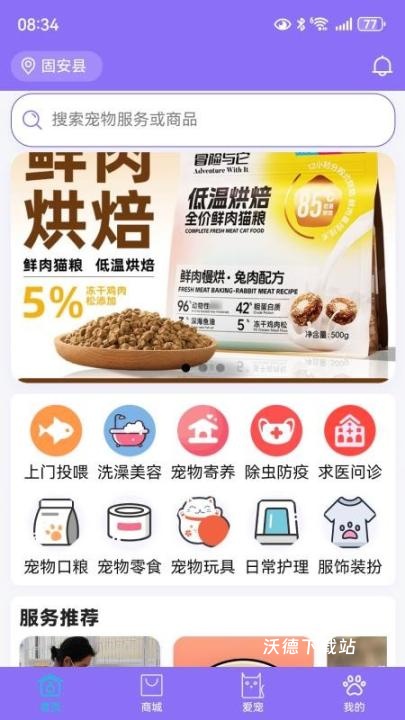 宠星_https://www.wordpress6.com_生活实用_第3张