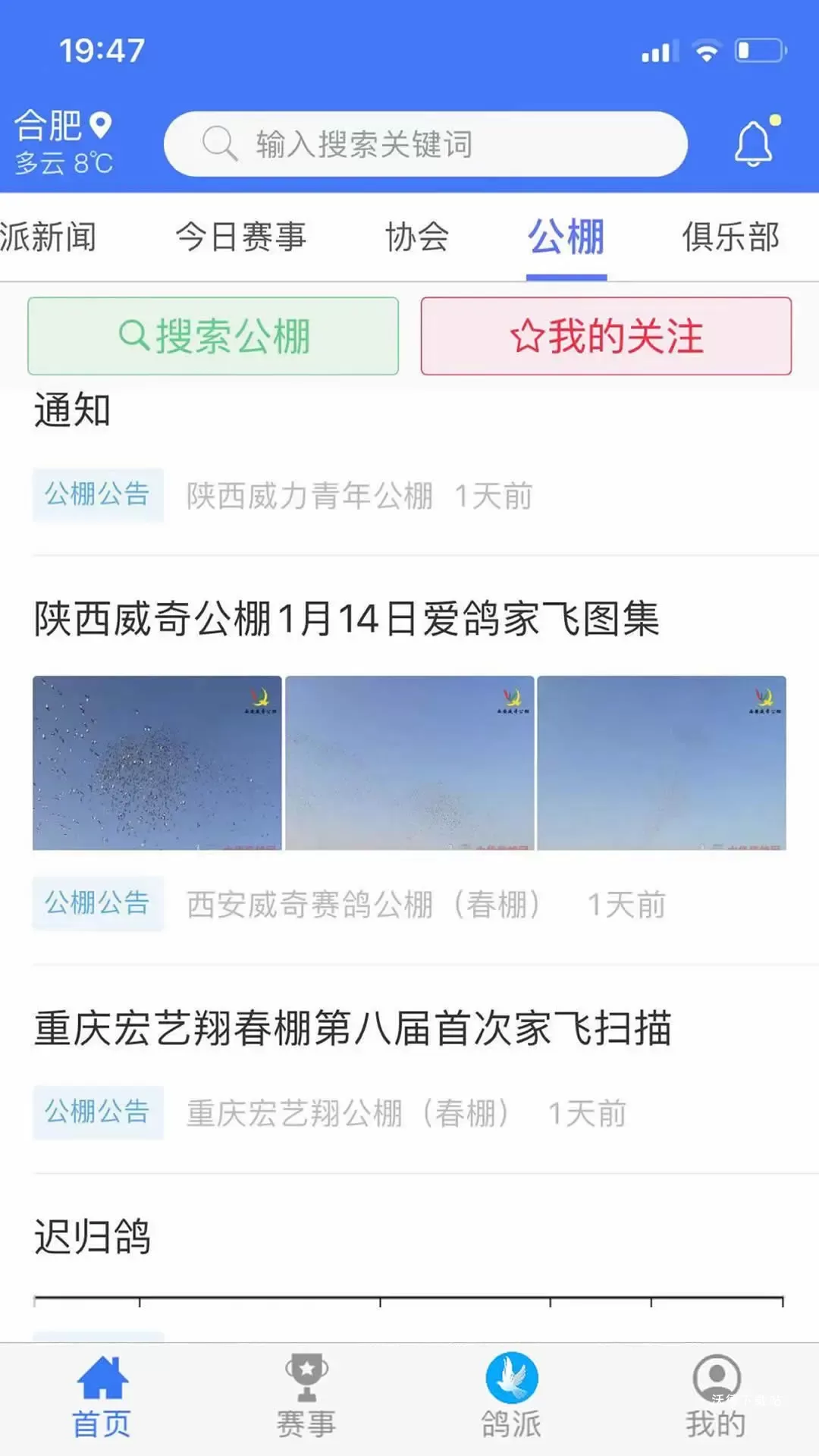 白鸽宝客户端改名白鸽乐保_https://www.wordpress6.com_生活实用_第1张