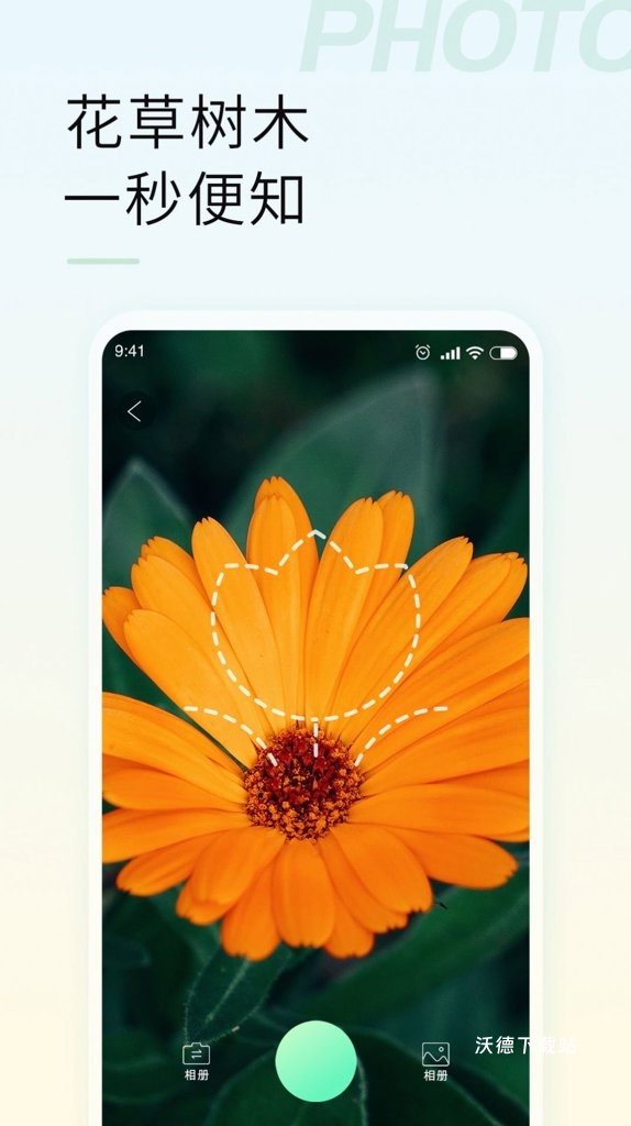 智能拍照识物app_https://www.wordpress6.com_摄影图像_第1张