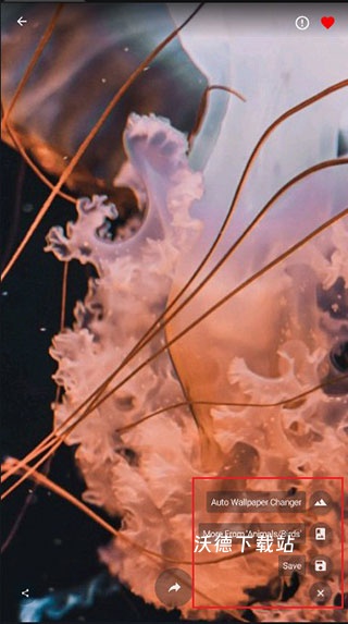 4k wallpapersapp_https://www.wordpress6.com_手机美化_第3张