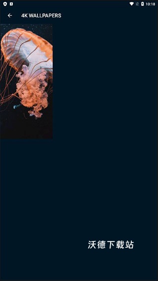 4k wallpapersapp_https://www.wordpress6.com_手机美化_第5张