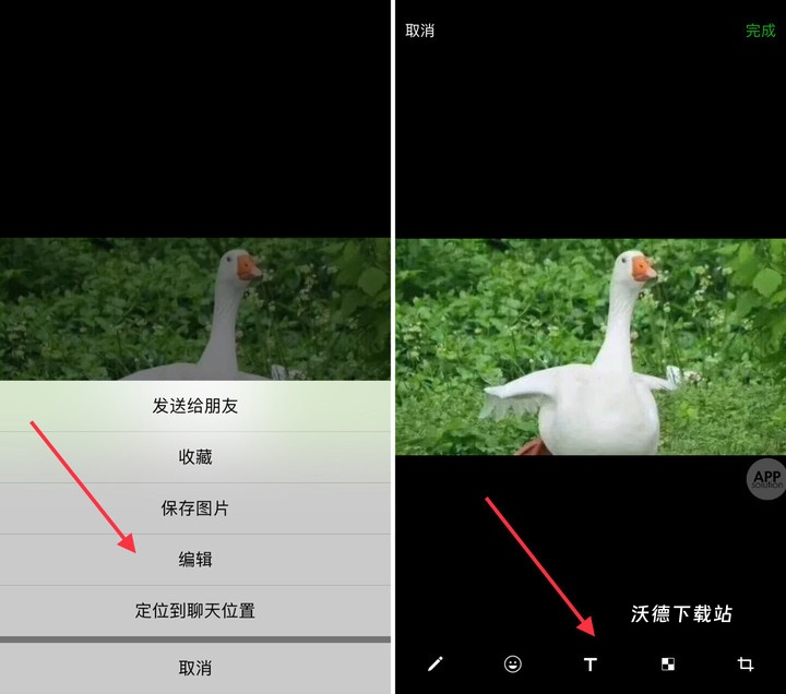 对鸭表情包制作-表情包大全_https://www.wordpress6.com_生活实用_第7张