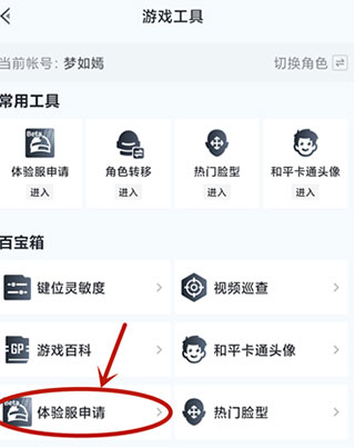 和平精英内测服下载_https://www.wordpress6.com_飞行射击_第2张