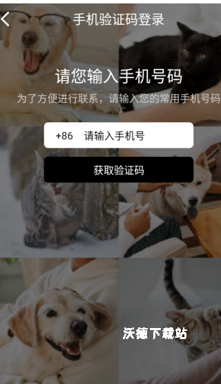 小它app_https://www.wordpress6.com_生活实用_第3张