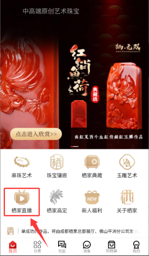 栖家珠宝官方版_https://www.wordpress6.com_出行购物_第3张