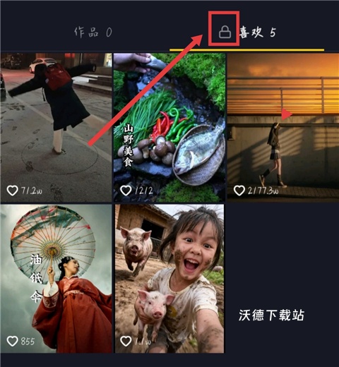 抖音精简版1.0_https://www.wordpress6.com_影音播放_第5张