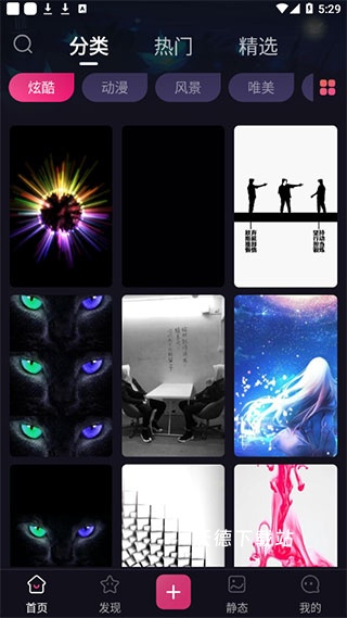 主题动态壁纸免费版_https://www.wordpress6.com_生活实用_第1张