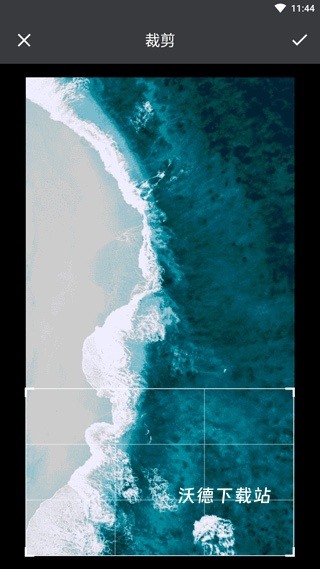 中国野外植物识别手册_https://www.wordpress6.com_生活实用_第3张