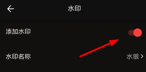 cool vue app_https://www.wordpress6.com_影音播放_第13张