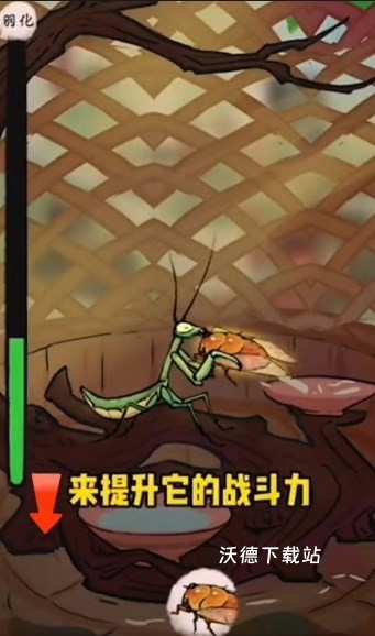 极品螳螂下载_https://www.wordpress6.com_模拟经营_第4张