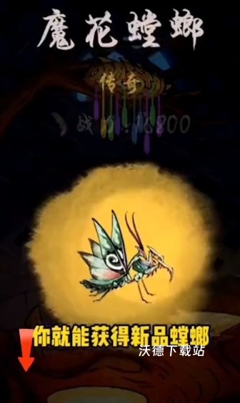 极品螳螂下载_https://www.wordpress6.com_模拟经营_第6张