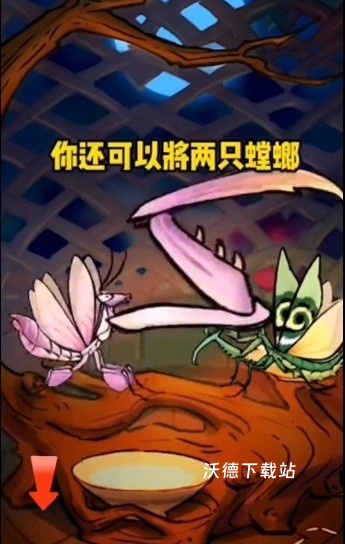 极品螳螂下载_https://www.wordpress6.com_模拟经营_第7张