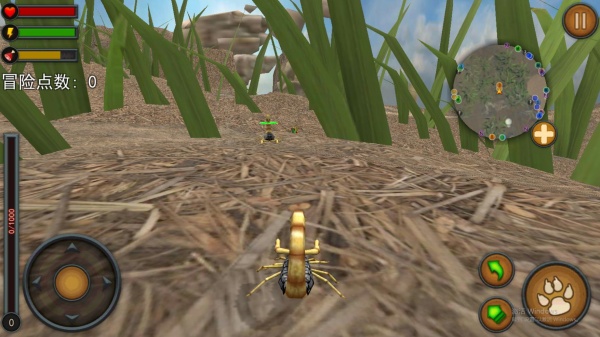 蝎子争霸赛下载_https://www.wordpress6.com_休闲益智_第4张