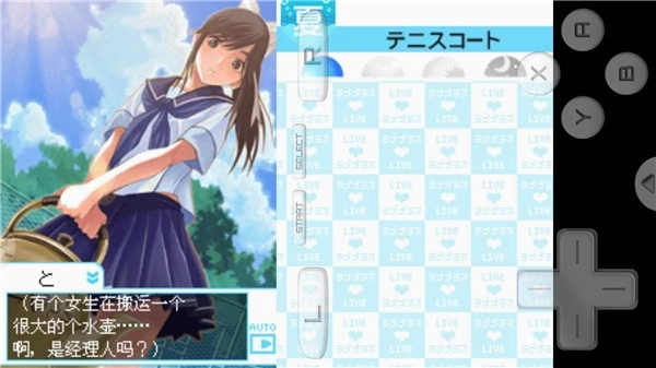 爱相随nds汉化下载_https://www.wordpress6.com_角色扮演_第2张