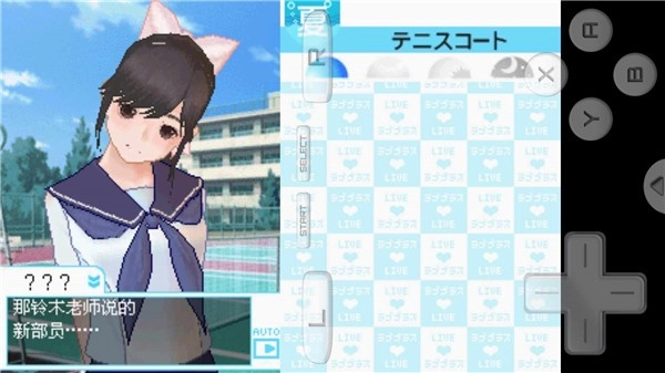 爱相随nds汉化下载_https://www.wordpress6.com_角色扮演_第3张