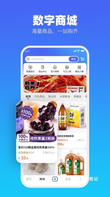 数商易购_https://www.wordpress6.com_出行购物_第3张