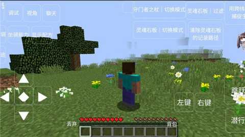 我的世界恐怖岛100天mod下载_https://www.wordpress6.com_休闲益智_第3张