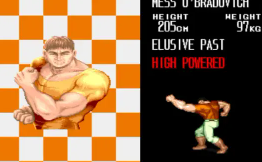 恐龙快打单机版下载_https://www.wordpress6.com_角色扮演_第9张