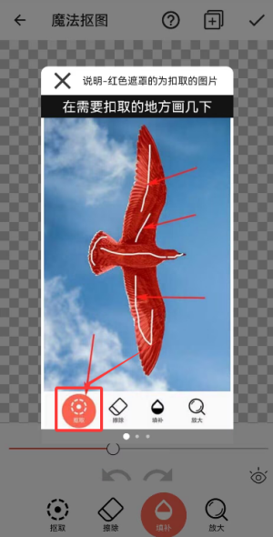抠图美图ps最新版app_https://www.wordpress6.com_摄影图像_第1张