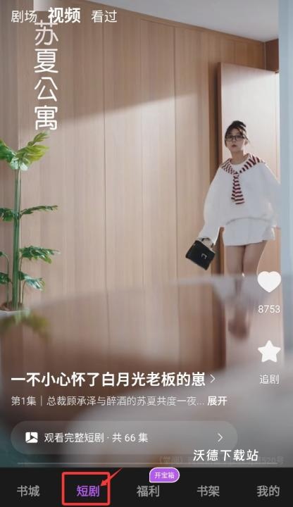 茶梅_https://m.wordpress6.com_生活实用_第3张