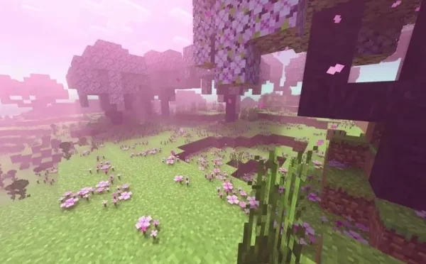 我的世界1.21.50.24国际版下载_https://www.wordpress6.com_休闲益智_第3张