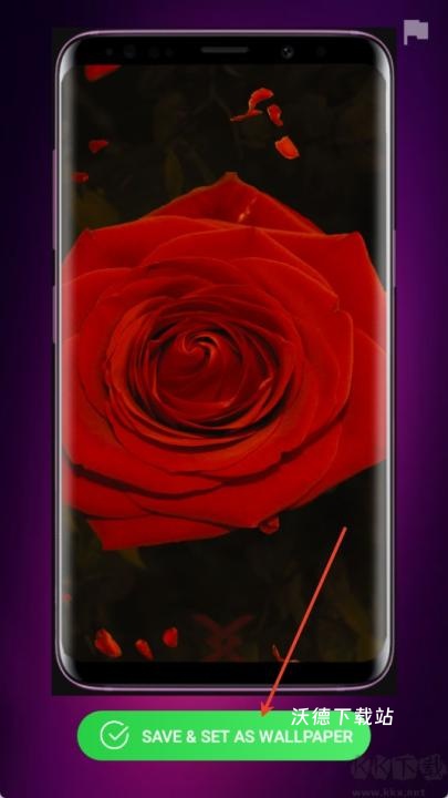 HD WALLPAPER 4D_https://www.wordpress6.com_生活实用_第2张