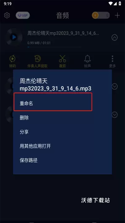 音频提取神器_https://www.wordpress6.com_影音播放_第8张