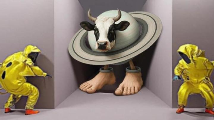 惊险迷宫出逃_休闲益智_第1张_沃德下载站 惊险迷宫出逃_https://m.wordpress6.com_休闲益智_第1张