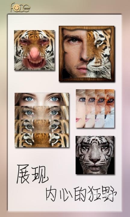 变脸大咖_https://www.wordpress6.com_生活实用_第1张