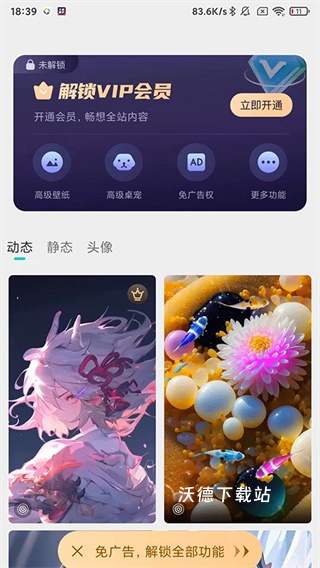主题壁纸大全app_https://www.wordpress6.com_手机美化_第3张