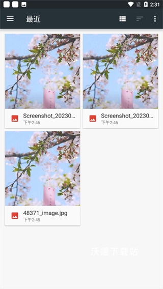 photoeditor中文版_https://m.wordpress6.com_系统工具_第2张