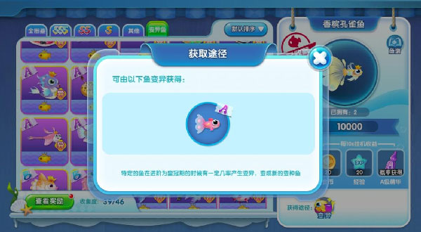 萌鱼泡泡下载_https://www.wordpress6.com_模拟经营_第3张