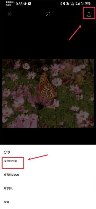 VSCO安卓版_https://m.wordpress6.com_摄影图像_第7张