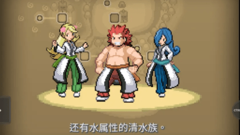 宝可梦武士道下载_https://www.wordpress6.com_角色扮演_第1张