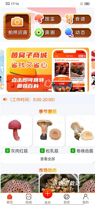 菌窝子app_https://www.wordpress6.com_生活实用_第1张