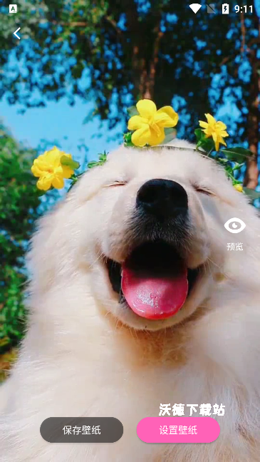 酷琪壁纸app最新版_https://www.wordpress6.com_手机美化_第3张