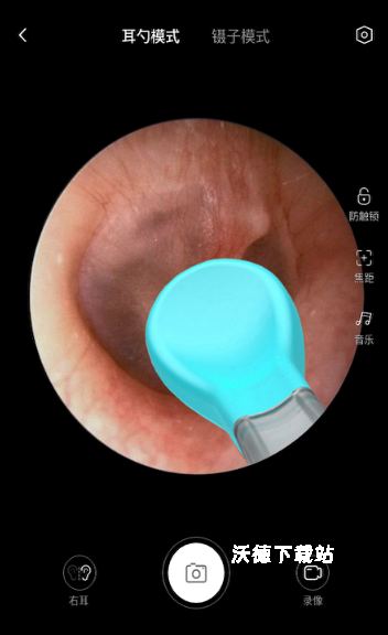 蜂鸟采耳app_https://www.wordpress6.com_生活实用_第3张