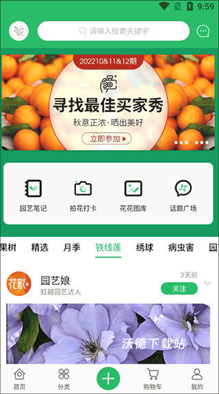 虹越花卉网上商城_https://www.wordpress6.com_出行购物_第2张