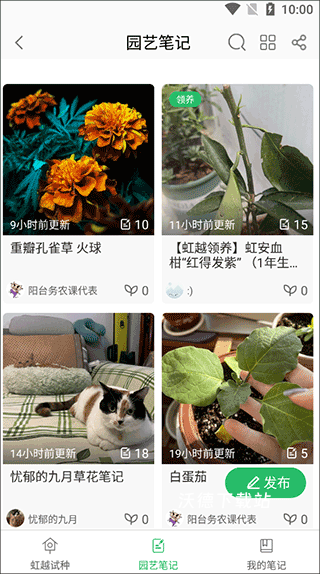 虹越花卉网上商城_https://www.wordpress6.com_出行购物_第3张