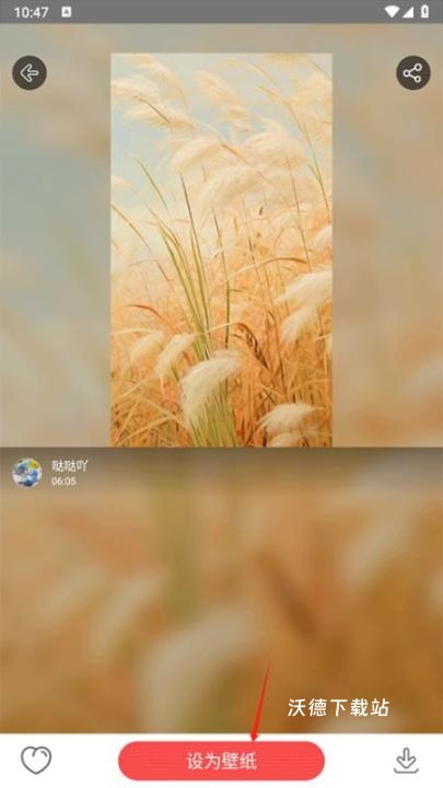 安卓动态壁纸app_https://www.wordpress6.com_手机美化_第4张